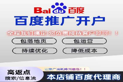 百度推广精准定位，案例深度解析